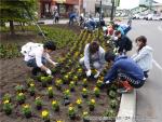 H22.06.05　駅前花壇写真