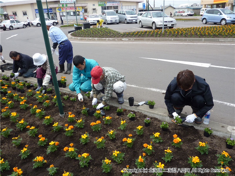 H22.06.05　駅前花壇写真