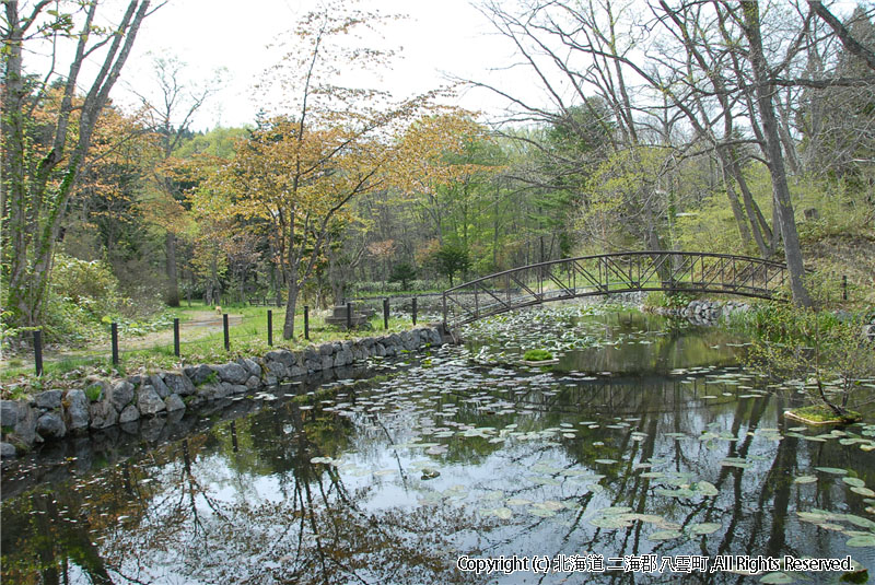 H21.05.08　さらんべ公園、野田生公園