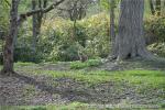 H21.05.08　さらんべ公園、野田生公園