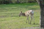 H21.05.08　さらんべ公園、野田生公園