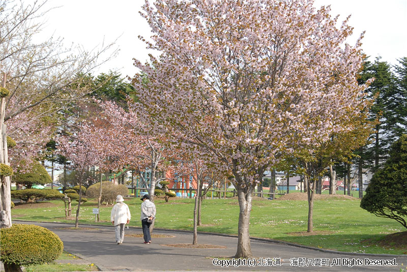 H21.05.08　さらんべ公園、野田生公園
