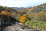 H19.10.25　雲石道路紅葉