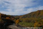 H19.10.25　雲石道路紅葉