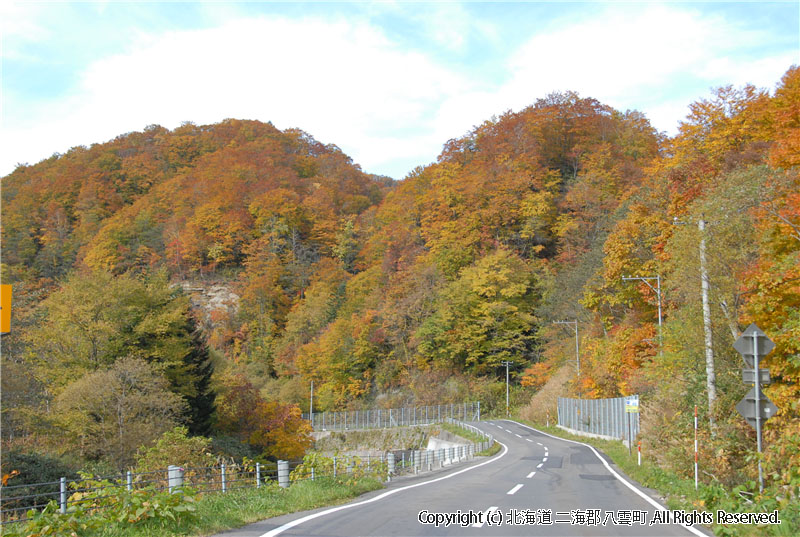 H19.10.25　雲石道路紅葉