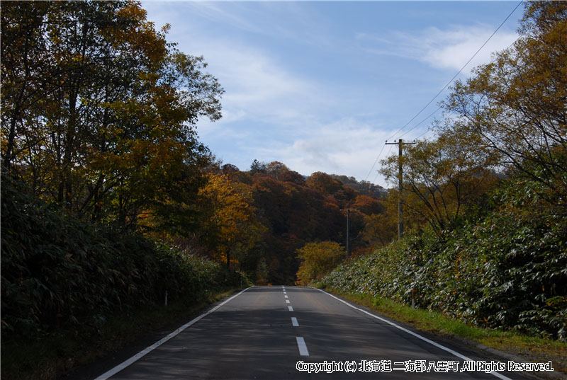 H19.10.25　雲石道路紅葉