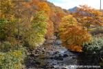 H19.10.25　雲石道路紅葉