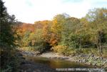 H19.10.25　雲石道路紅葉