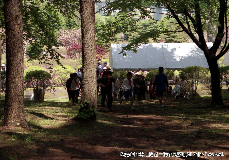 H17.06.05　第25回落部公園つつじ祭り