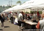 H17.06.05　第25回落部公園つつじ祭り