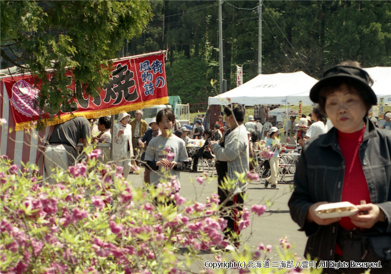 H17.06.05　第25回落部公園つつじ祭り