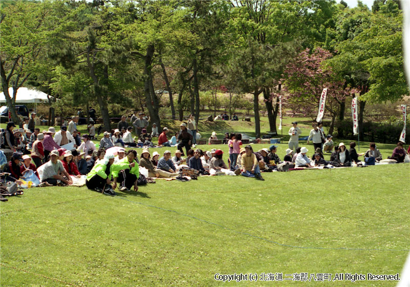 H17.06.05　第25回落部公園つつじ祭り