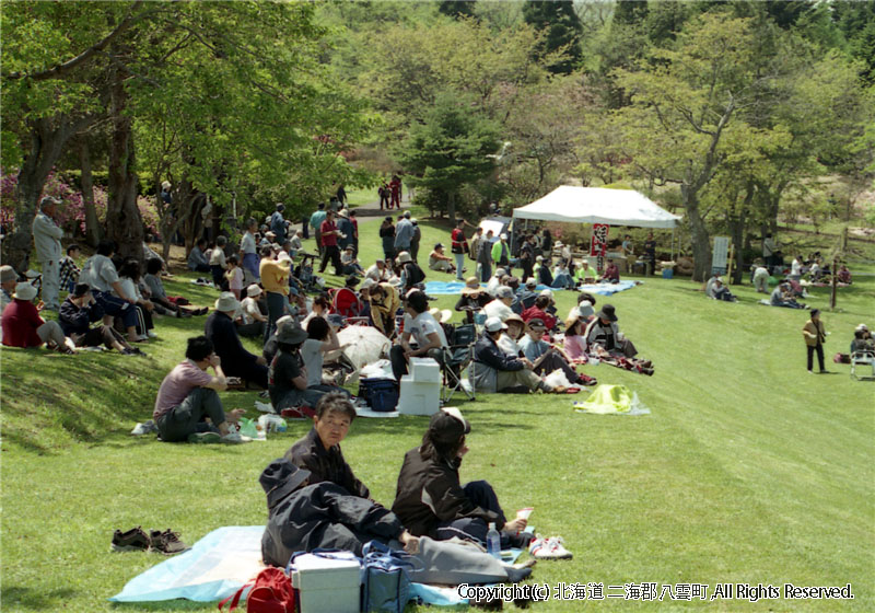 H17.06.05　第25回落部公園つつじ祭り