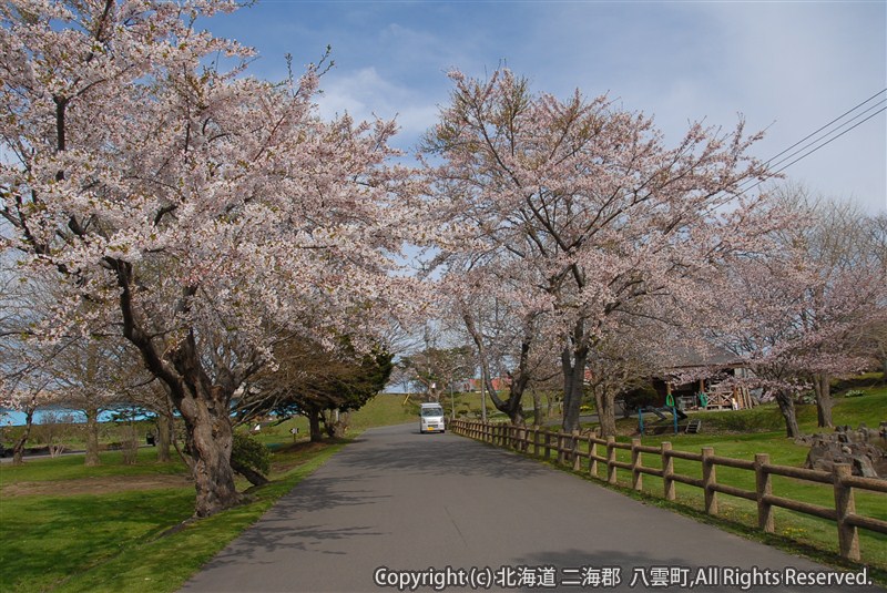 H23.05.15　H23.05.11　さらんべ公園