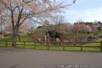 H23.05.15　H23.05.11　さらんべ公園