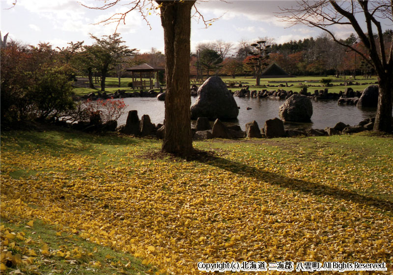 H15.11.04 さらんべ公園