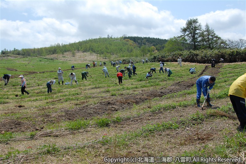 H23.05.23 八雲町植樹祭(八雲地域)