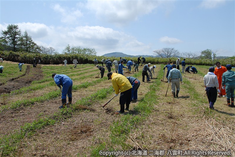 H23.05.23 八雲町植樹祭(八雲地域)