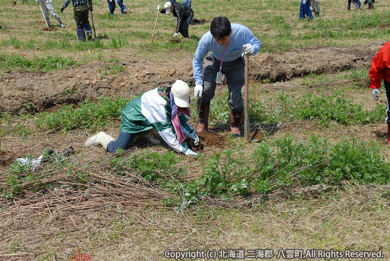 H23.05.23 八雲町植樹祭(八雲地域)