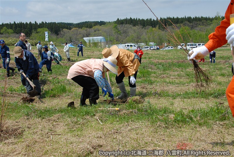 H23.05.23 八雲町植樹祭(八雲地域)