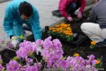 H23.06.04　駅前花壇花植え