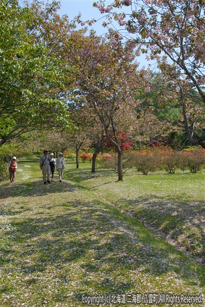 H23.06.07 落部公園逆さ虹・つつじ