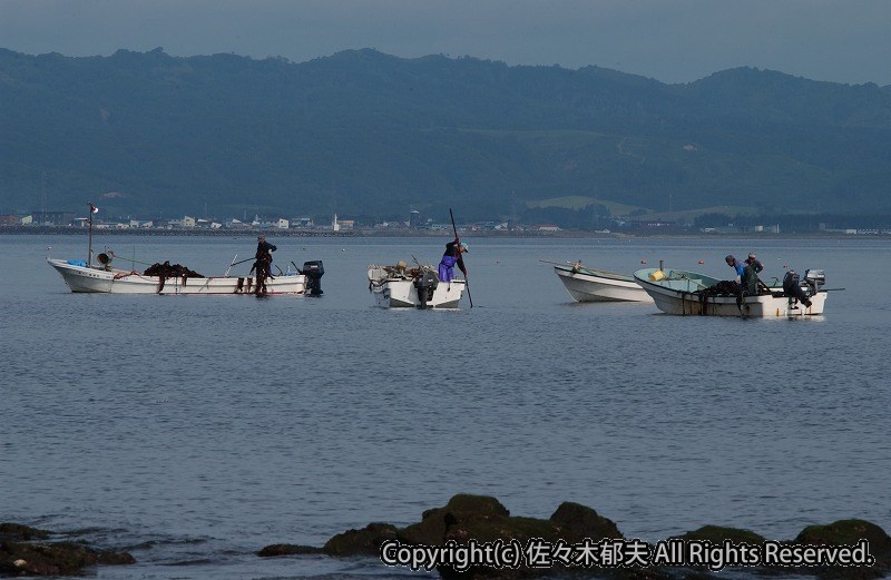 熊石 日本海 H15年 8月