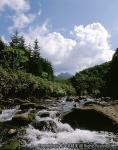 八雲 遊楽部川上流