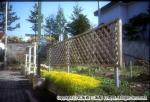 H15 その他植物