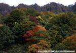 H15 八雲風景