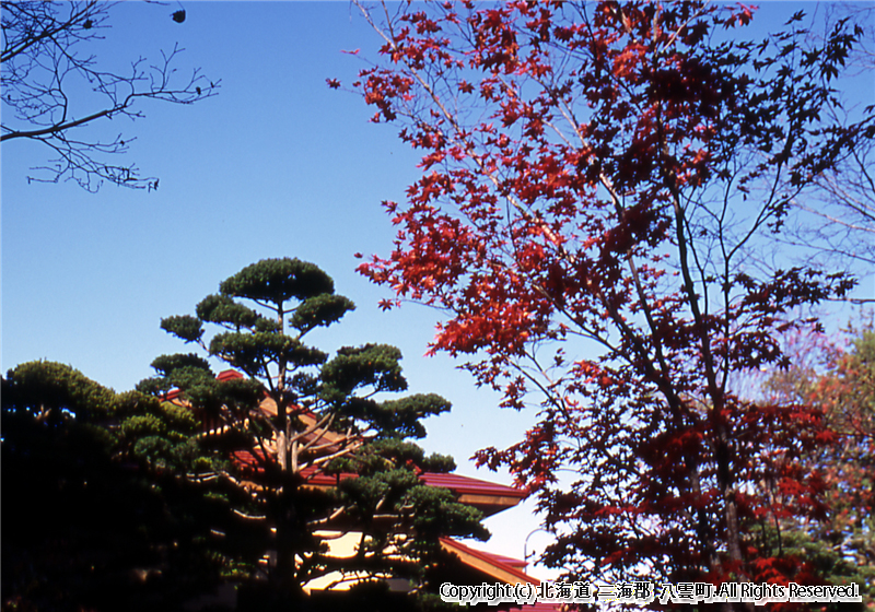 H16 梅村庭園