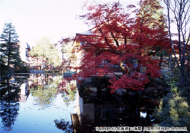 H16 梅村庭園