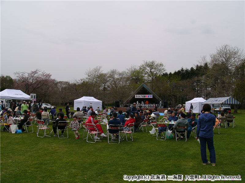 H16.05.09 さらんべ公園桜まつり