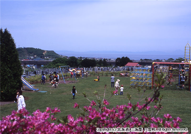 H16.06.06 落部公園つつじ祭り