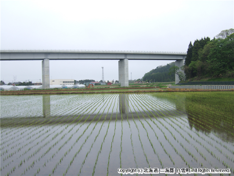 H17.06.07　風景（落部高速道路と水田）