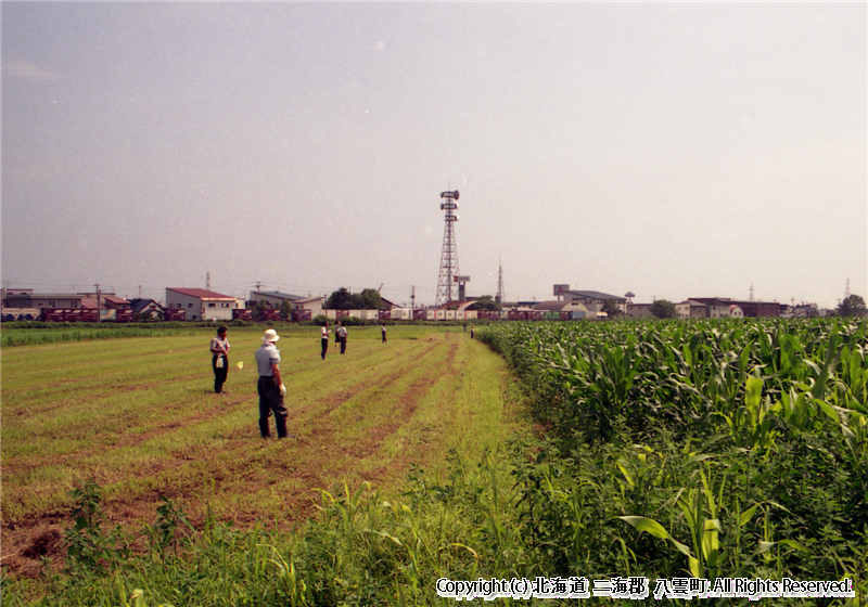 H17.08.09　市街地に鹿出没