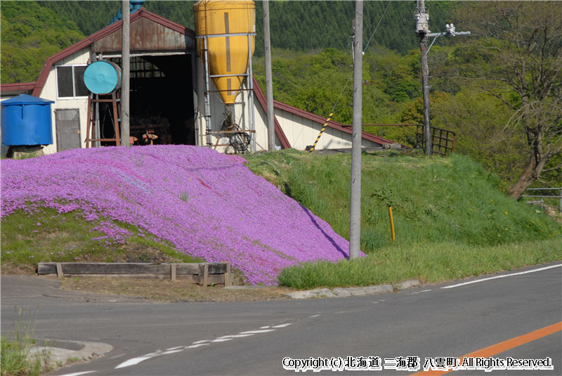 H18.06.02　風景（大関）