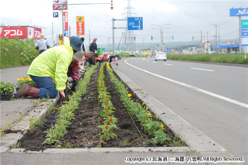 H18.06.13 フラワーロード植栽