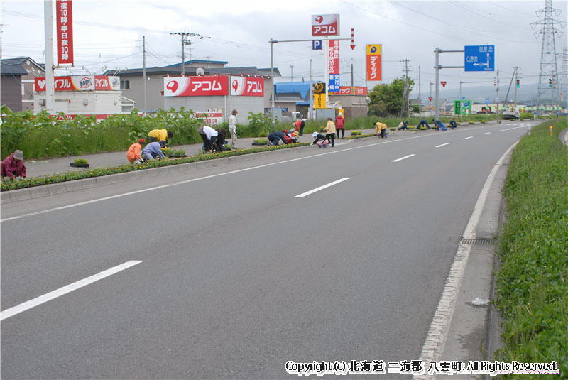 H18.06.13 フラワーロード植栽