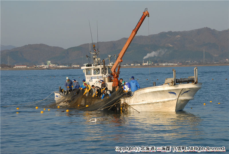 H18.10.28 さけ定置網