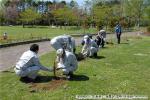 H21.05.15 さらんべ公園植樹