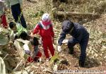 平成7年　地球環境保全の森完成記念植樹祭