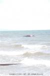H22.04.07 落部海岸クジラ