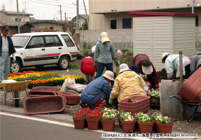 H10.05.24 花いっぱい実践町内会花壇・プランターづくり