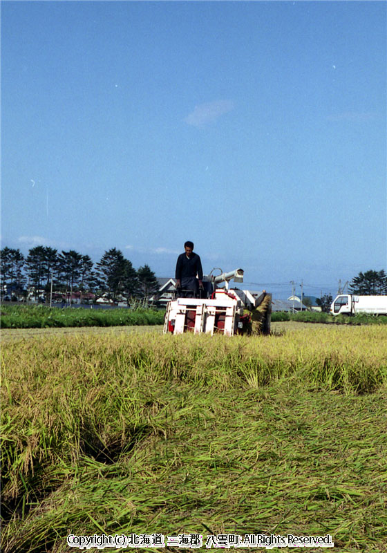 H12.09 ジャガイモ収穫作業