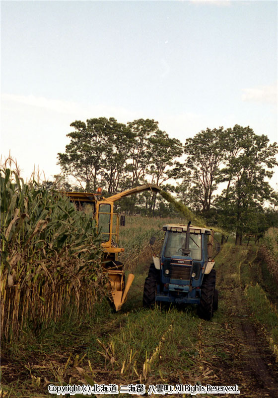 H12.09 ジャガイモ収穫作業