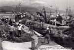 昭和30年代　熊石漁港流し網作業風景