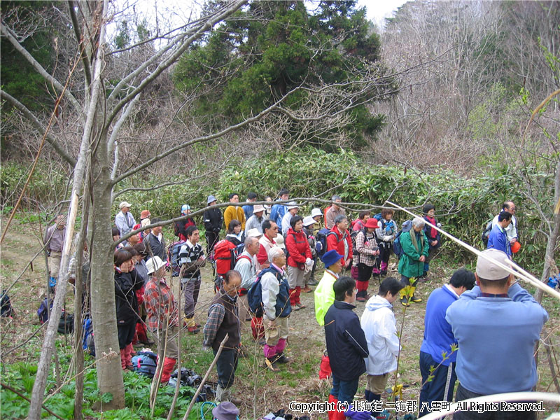 H19.04.29　ヤンカ山登山