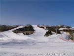 H15 スキー場