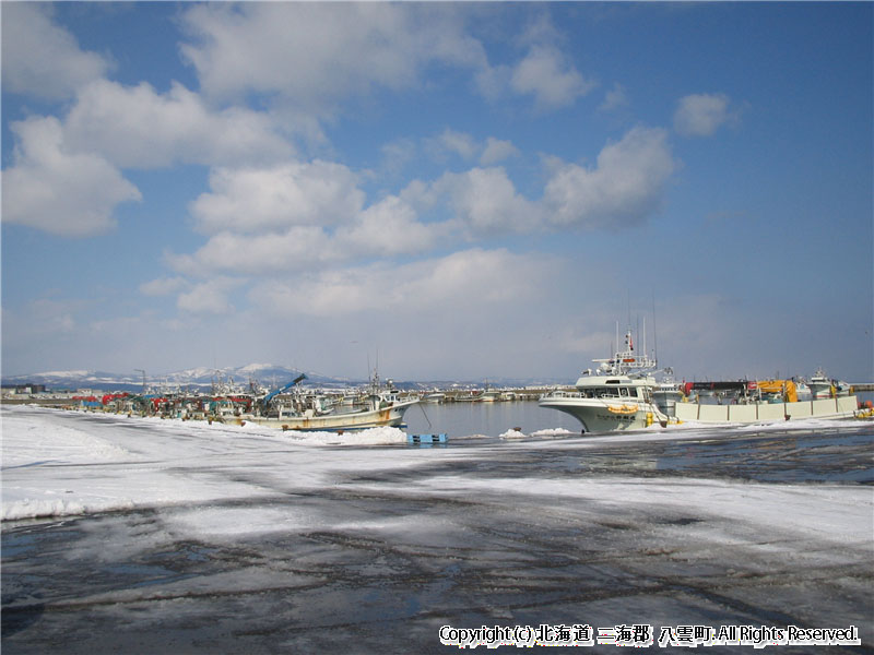 H15 八雲漁港